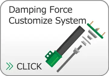 Damping Force Customize System